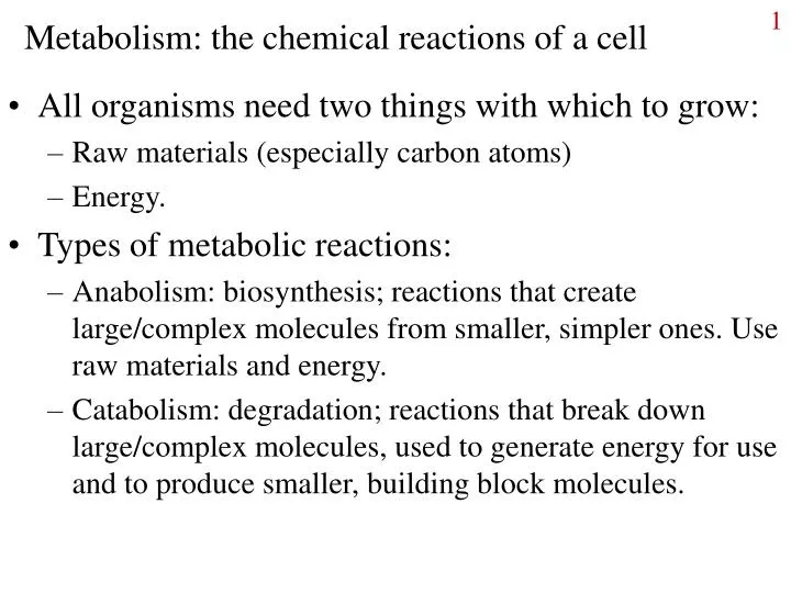 metabolism the chemical reactions of a cell