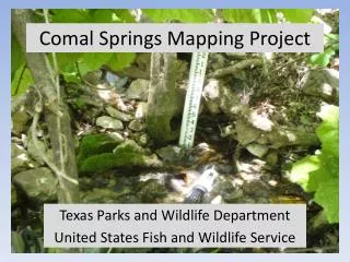Comal Springs Mapping Project