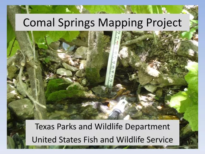 comal springs mapping project