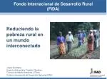 Reduciendo la pobreza rural en un mundo interconectado - slide 1
