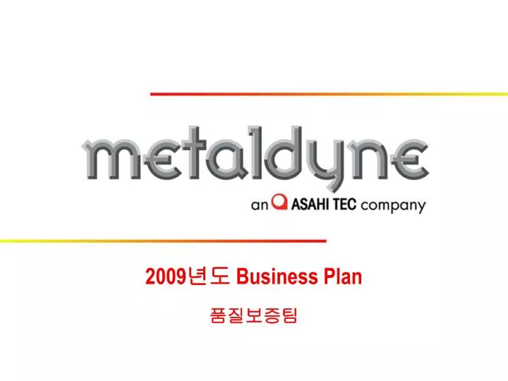2009 business plan