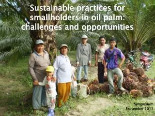 Sustainable practices for smallholders in oil palm: challenges and opportunities