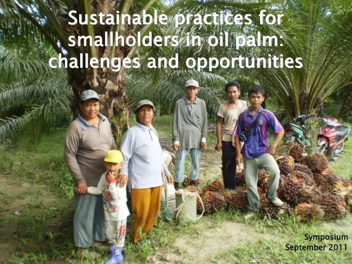sustainable practices for smallholders in oil palm challenges and opportunities