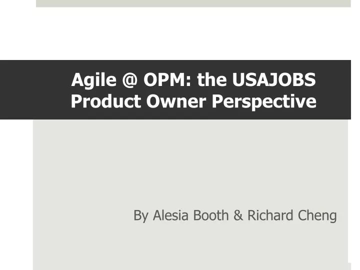 agile @ opm the usajobs product owner perspective
