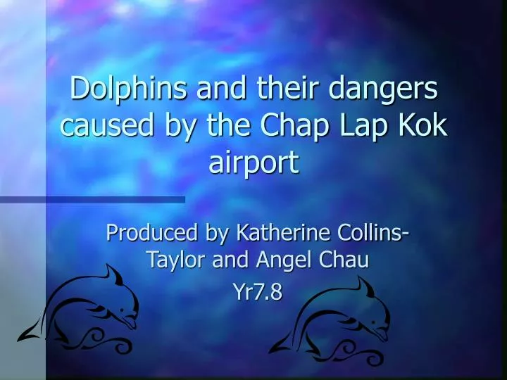 dolphins and their dangers caused by the chap lap kok airport