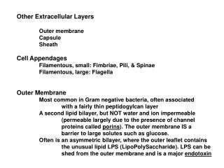 Other Extracellular Layers Outer membrane 	Capsule 	Sheath Cell Appendages