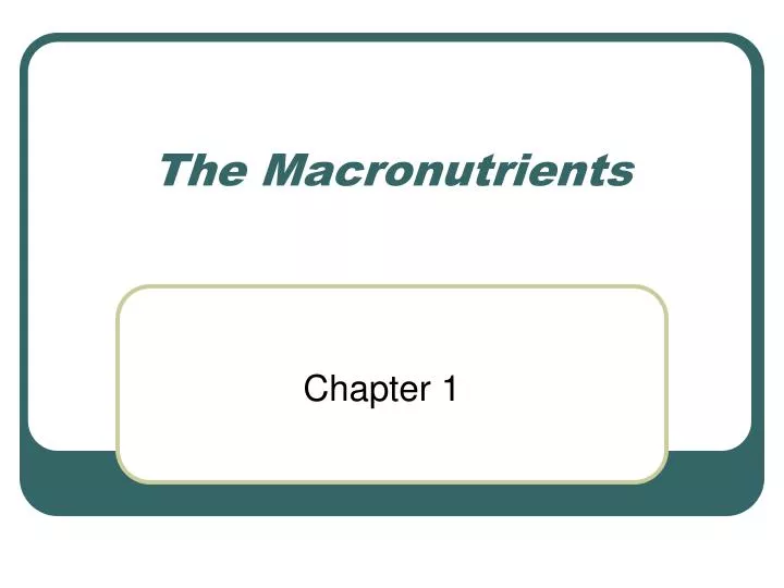 the macronutrients