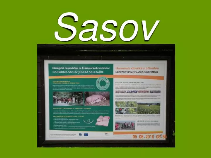 sasov