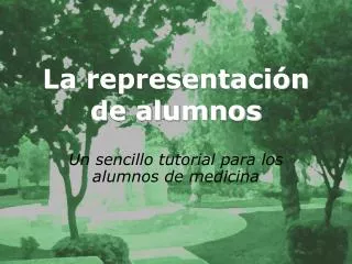 la representaci n de alumnos