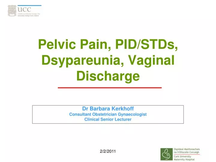 pelvic pain pid stds dsypareunia vaginal discharge