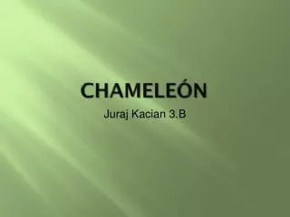chamele n