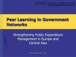 Peer Learning in Government Networks