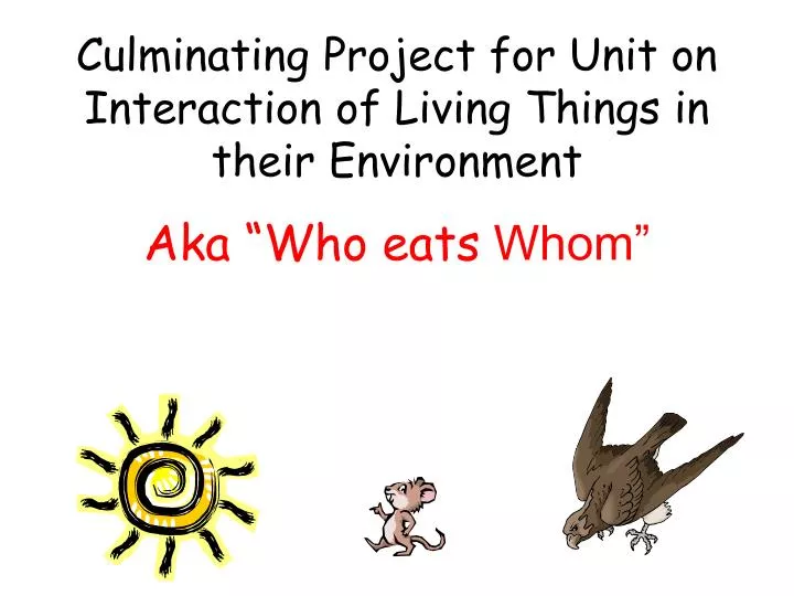 culminating project for unit on interaction of living things in their environment aka who eats whom