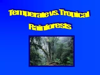 Temperate vs. Tropical Rainforests