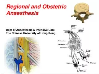 Regional and Obstetric Anaesthesia