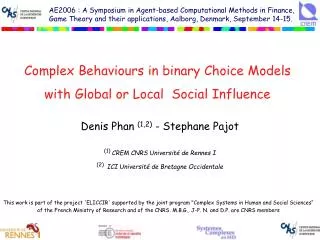 Complex Behaviours in binary Choice Models with Global or Local Social Influence