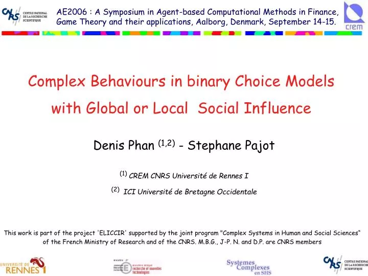 complex behaviours in binary choice models with global or local social influence