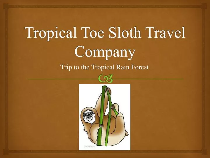 tropical toe sloth travel company