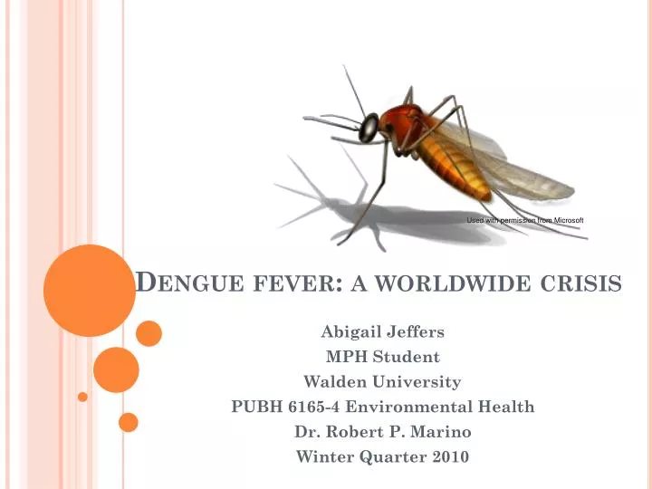 dengue fever a worldwide crisis