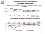Динамика численности постоянного населения на конец года, человек - slide 1
