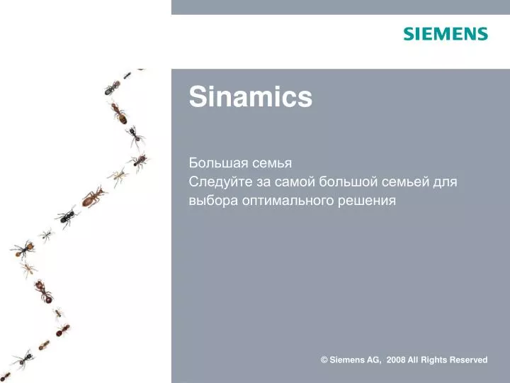 sinamics