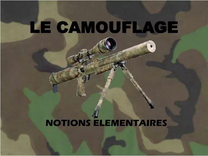 le camouflage