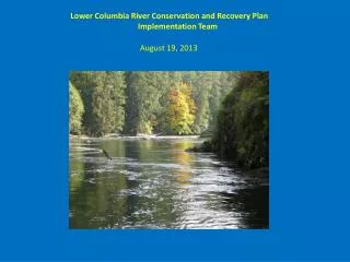 Lower Columbia River Conservation and Recovery Plan Implementation Team