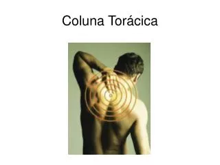 coluna tor cica