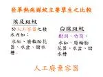 登革熱病媒蚊主要孳生之比較 - slide 1
