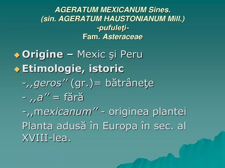 ageratum mexicanum sines sin ageratum haustonianum mill pufule i fam asteraceae