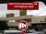 INSTITUTO NACIONAL DE VITIVINICULTURA - slide 1