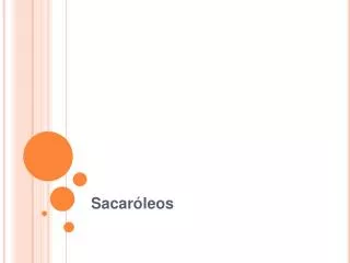 sacar leos