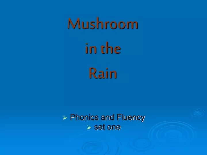 mushroom in the rain