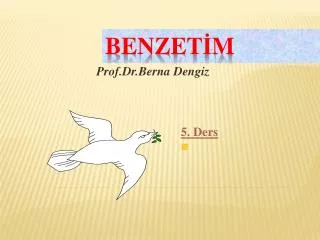 prof dr berna dengiz