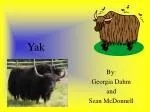 Yak - slide 1