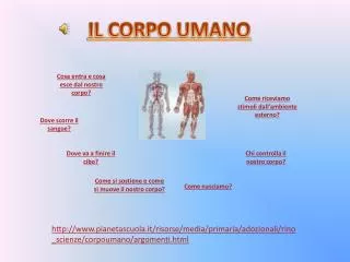 il corpo umano