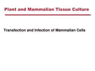 Plant and Mammalian Tissue Culture