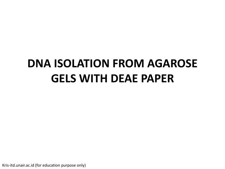 dna isolation from agarose gels with deae paper