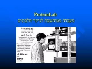 proteinlab