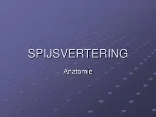 spijsvertering