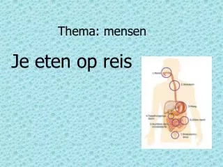 thema mensen