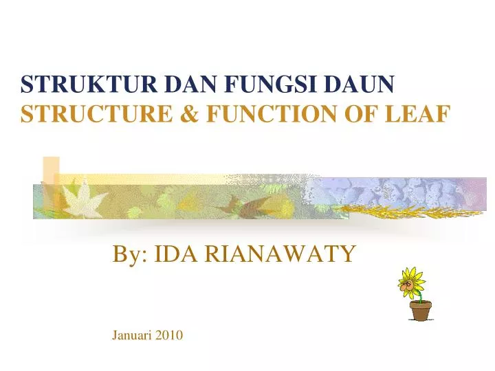 struktur dan fungsi daun structure function of leaf