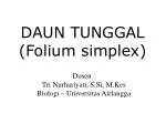 DAUN TUNGGAL (Folium simplex) - slide 1