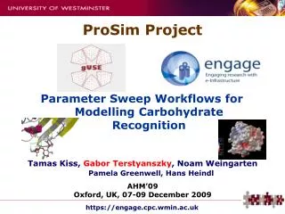 Parameter Sweep Workflows for Modelling Carbohydrate Recognition