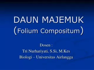 daun majemuk folium compositum