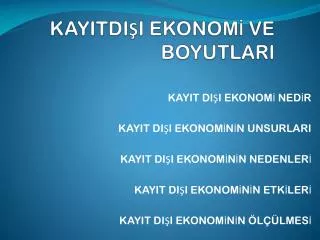 kayitdi i ekonom ve boyutlari