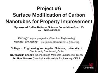 Project #6 Surface Modification of Carbon Nanotubes for Property Improvement