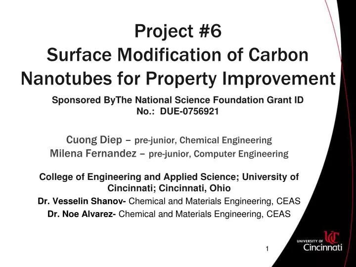 project 6 surface modification of carbon nanotubes for property improvement