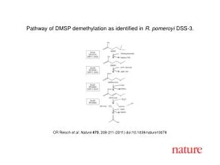 CR Reisch et al. Nature 473 , 208-211 (2011) doi:10.1038/nature10078