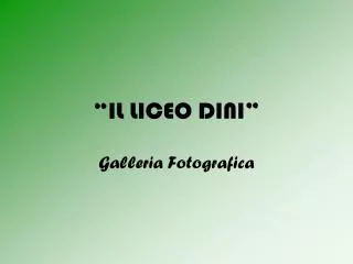il liceo dini